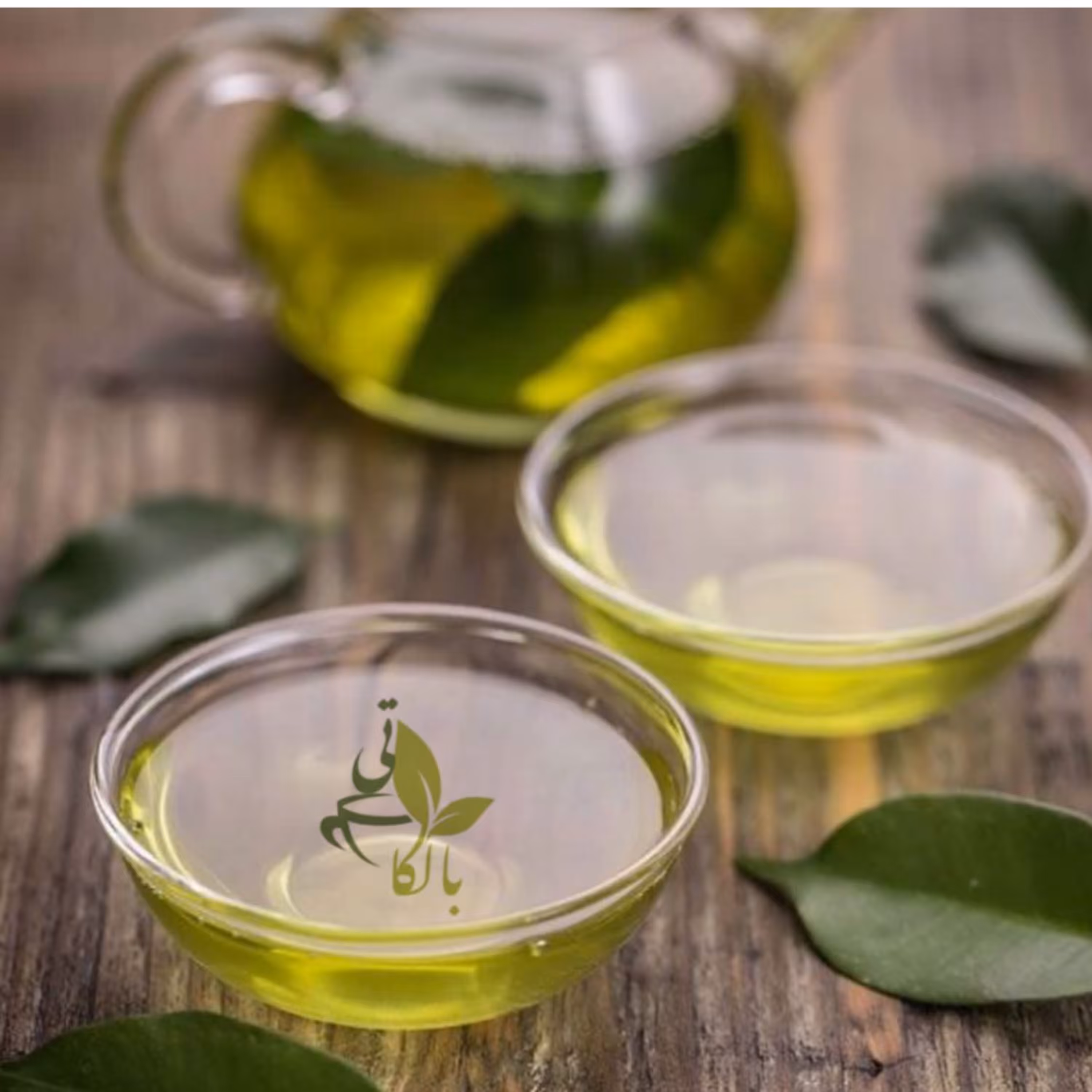 چای سبز لاهیجان دستچین شده از غنچه گیاه چای محصول بهار1401