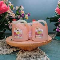 مایع دسشویی گیاهی ایشیل 