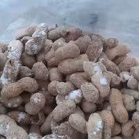 بادام زمینی آزموده یک کیلویی