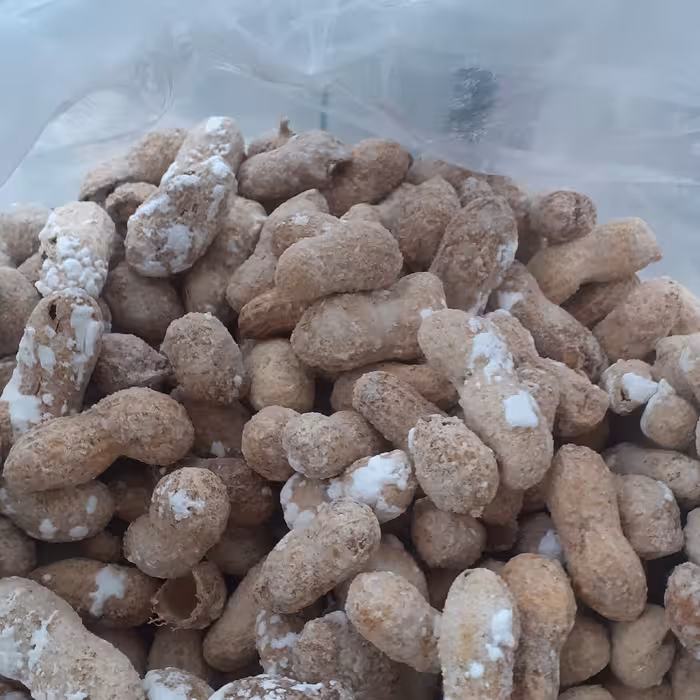 بادام زمینی آزموده یک کیلویی