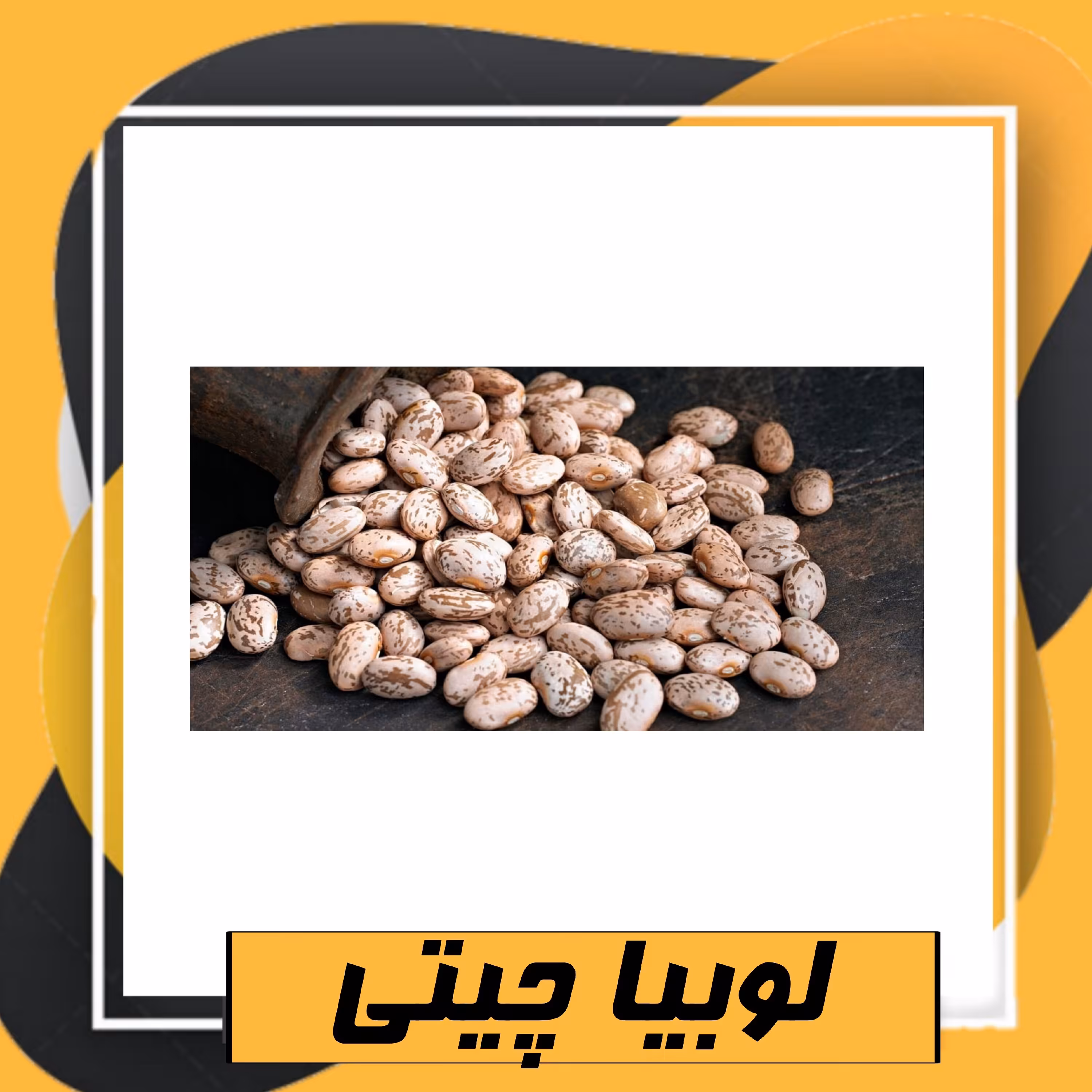 لوبیا چیتی سورت شده ممتاز (800گرم) طبعی نو