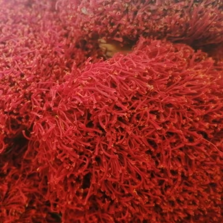 زعفران ممتاز، مثقالی 440000