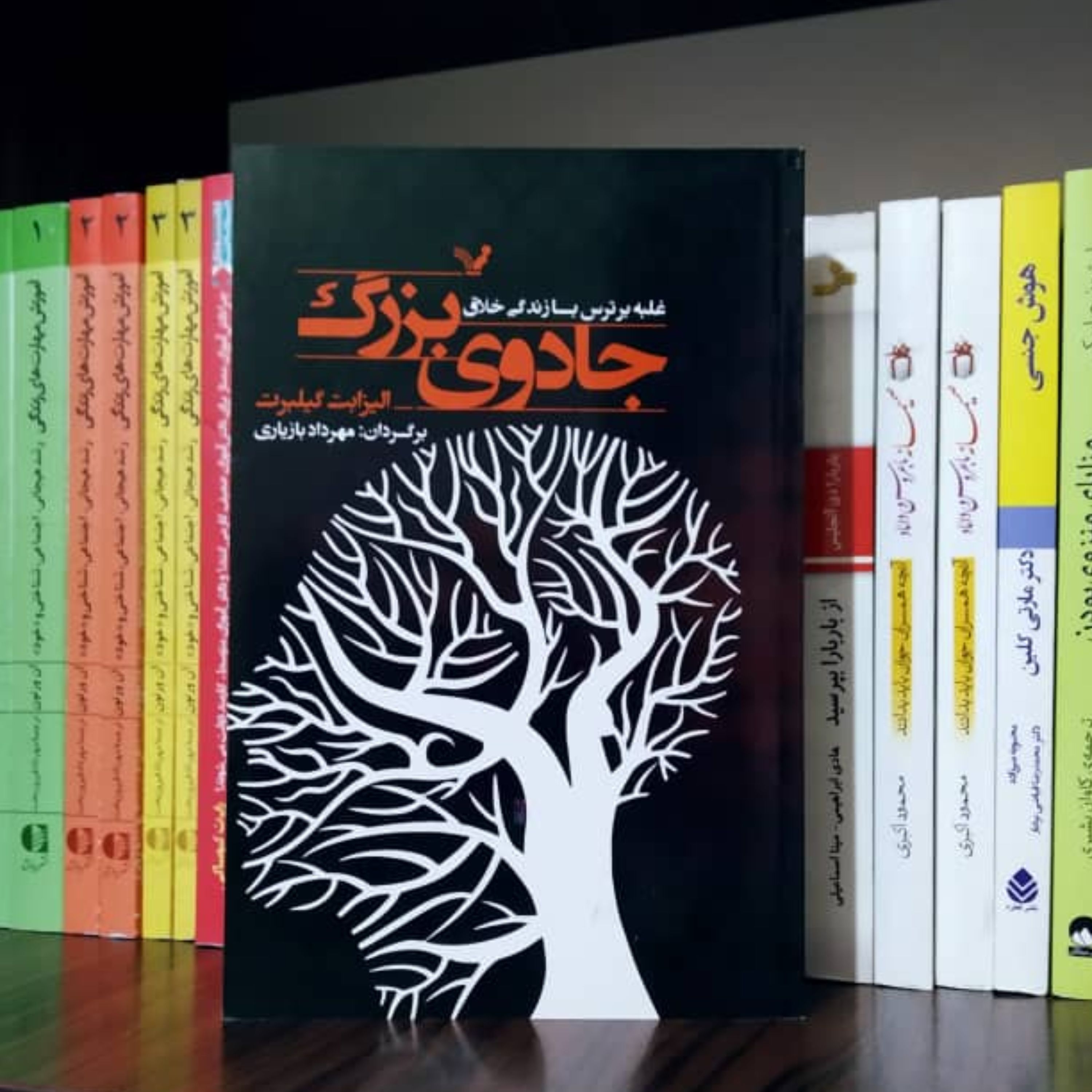 جادوی بزرگ - غلبه بر ترس با زندگی خلاق - الیزابت گلیبرت ترجمه مهرداد بازیاری