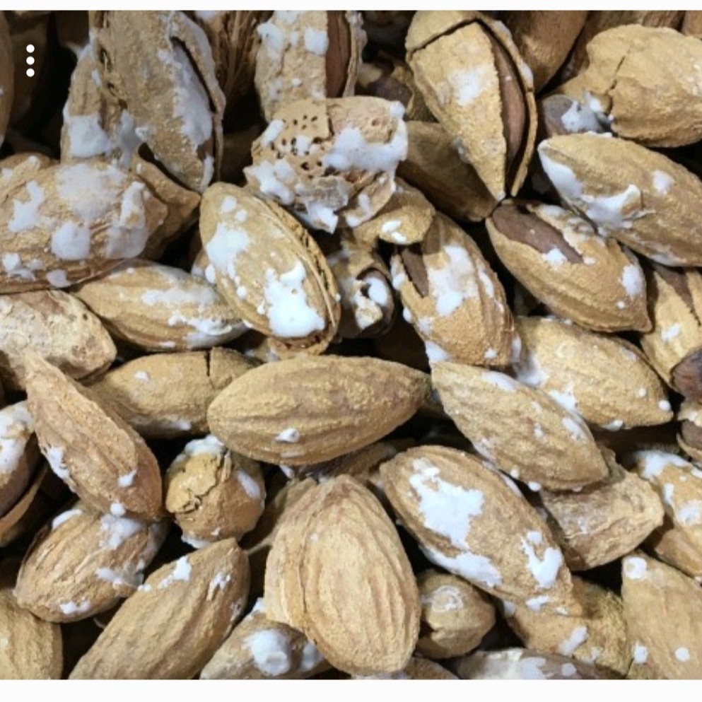 بادام پوست کاغذی نمکی