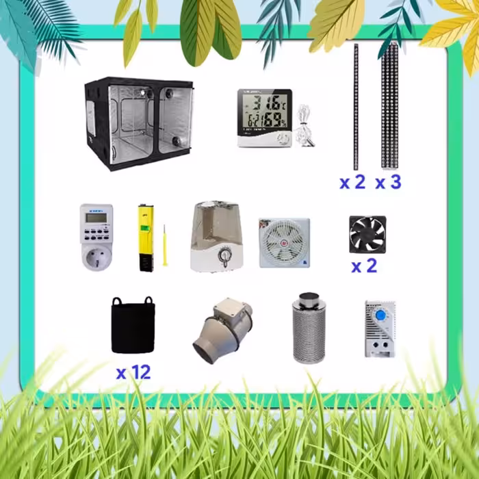 پکیج کامل کاشت تا برداشت 12 گلدان