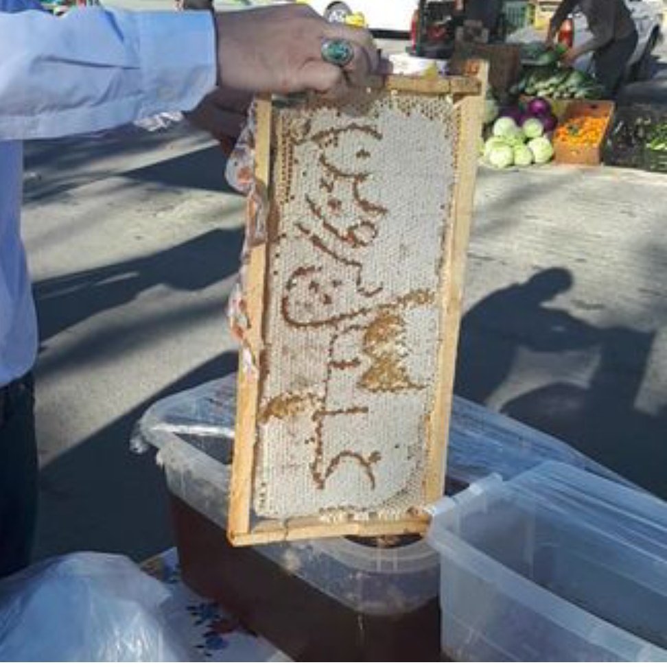 عسل با موم بهاره