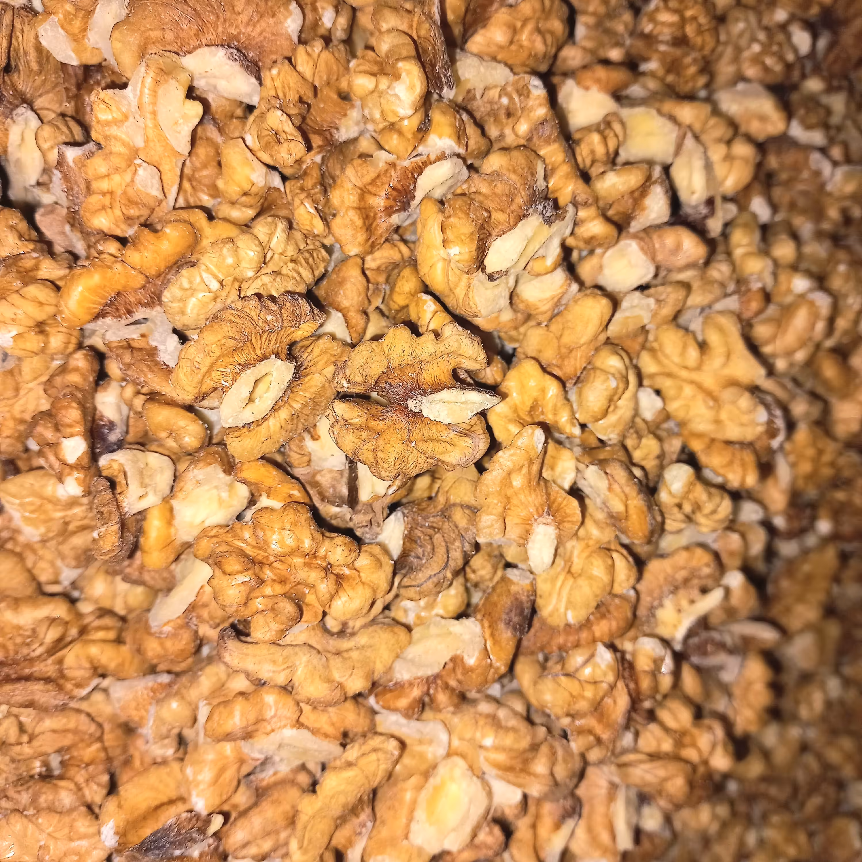 مغز گردوی تویسرکان. چرب و خوشمزه. نیم کیلویی 