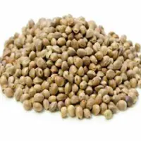 شاهدانه سورت اعلا (100 گرم)