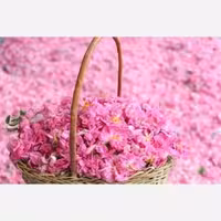 گل محمدی راز زیبایی و سلامت بانوان 50 گرم ارسال رایگان