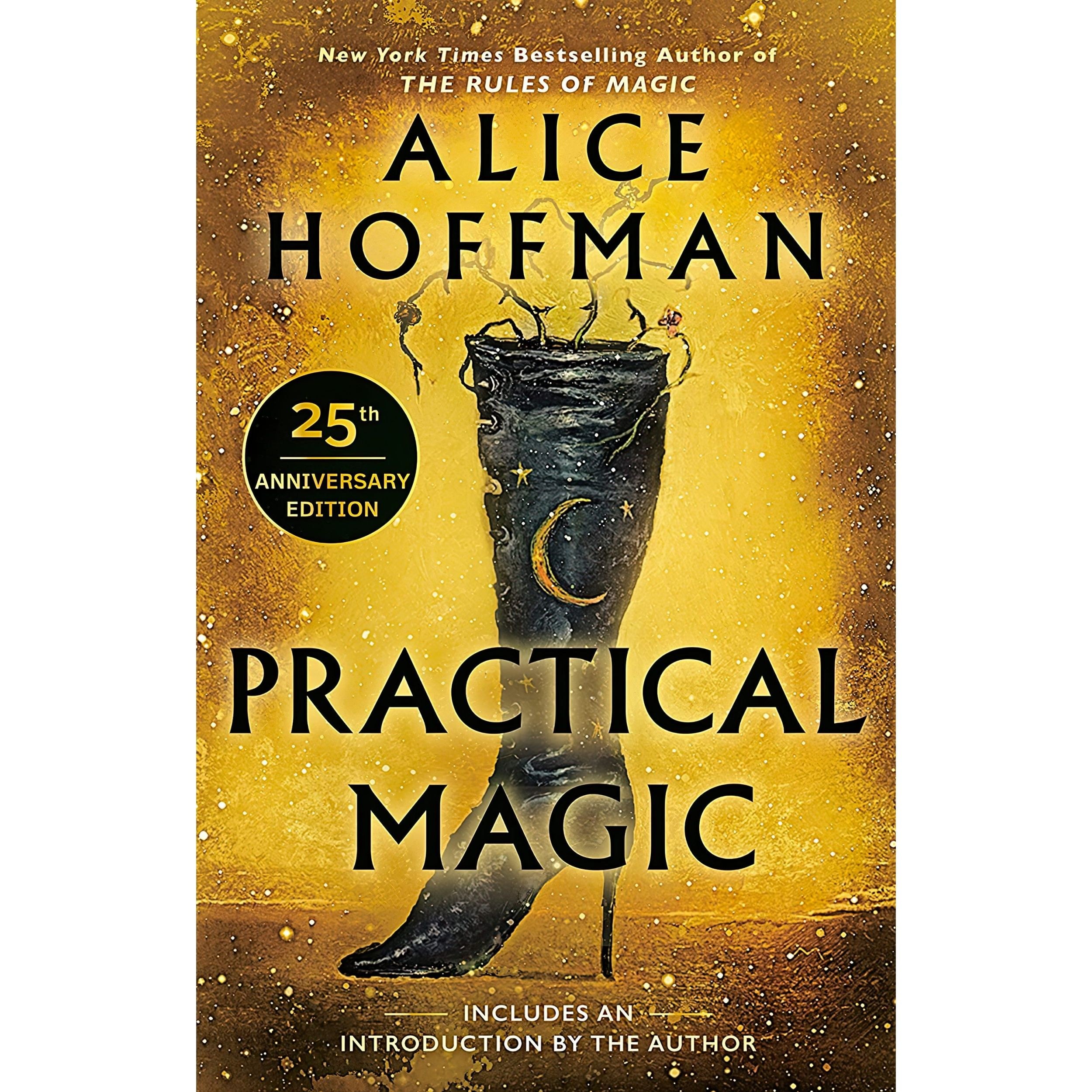 کتاب زبان اصلی Practical Magic اثر Alice Hoffman انتشارات Berkley
