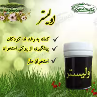 اولیستر لیا