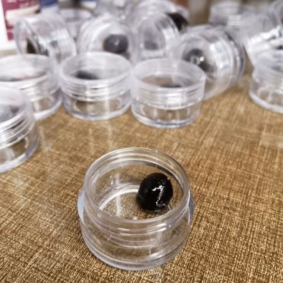 جامع امام رضا علیه السلام(1)