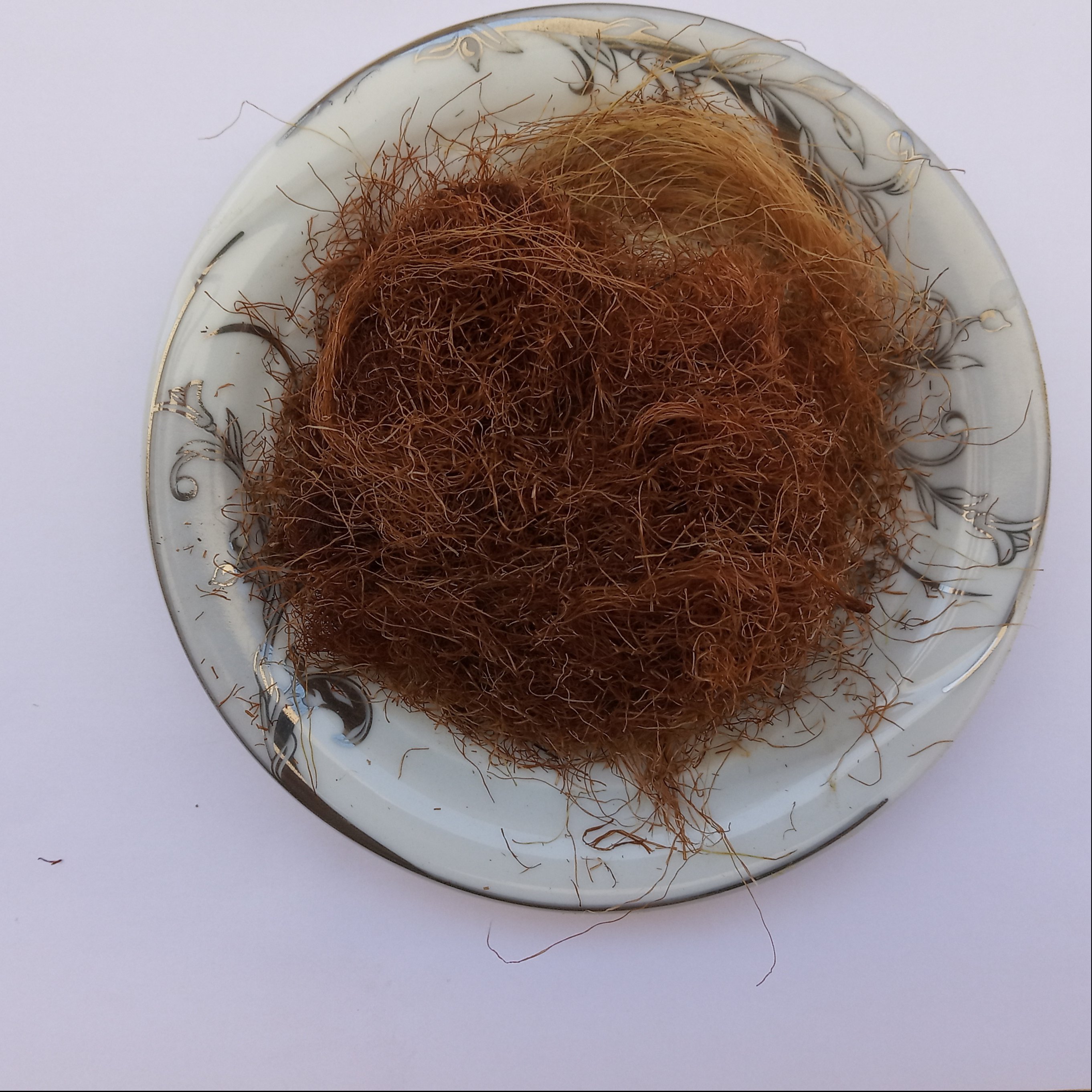 کاکل ذرت(50گرم)