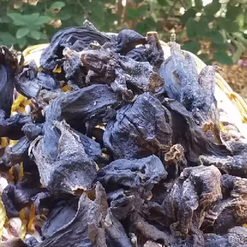 بادمجان خشک مخصوص ترشی