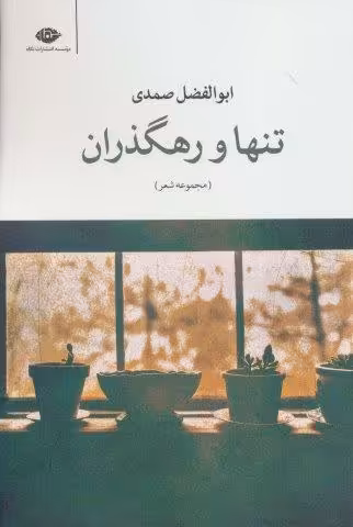 تنها و رهگذران (مجموعه شعر)