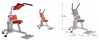 شکم و فیله کمر BH ABDOMINAL CRUNCH