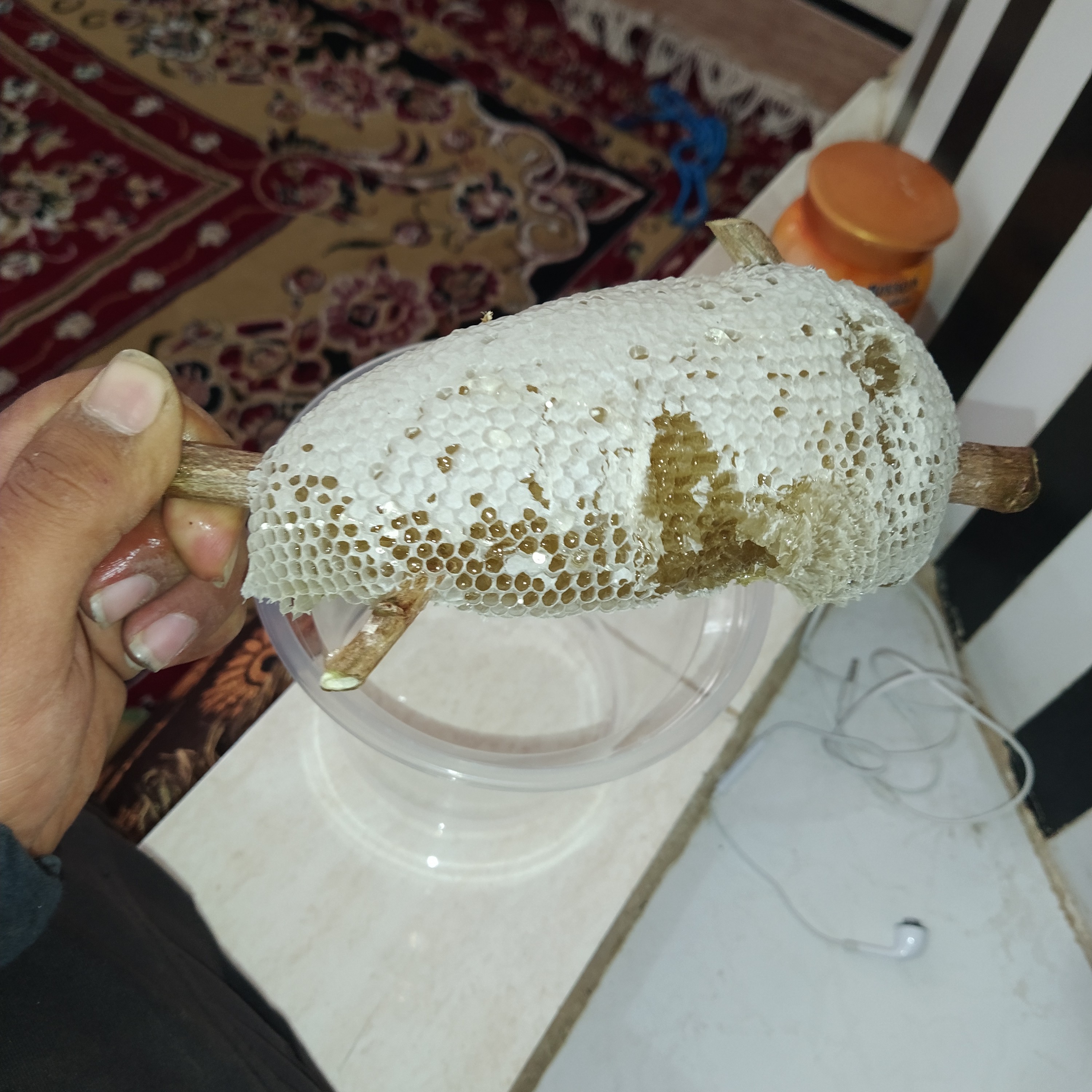عسل کنار