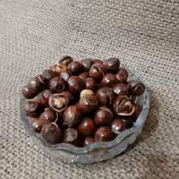 فندق ترکدار شور یک کیلویی تبسم