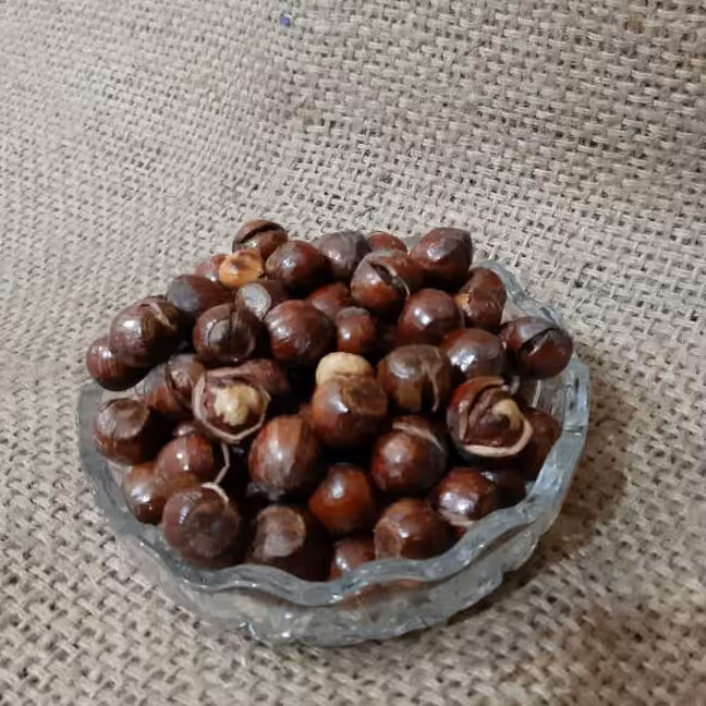 فندق ترکدار شور یک کیلویی تبسم