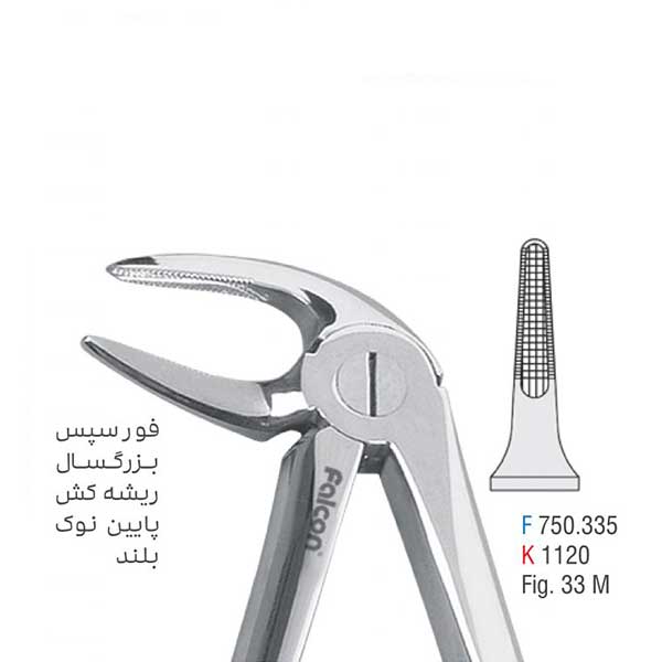 فورسپس بزرگسال ریشه کش پایین - falcon