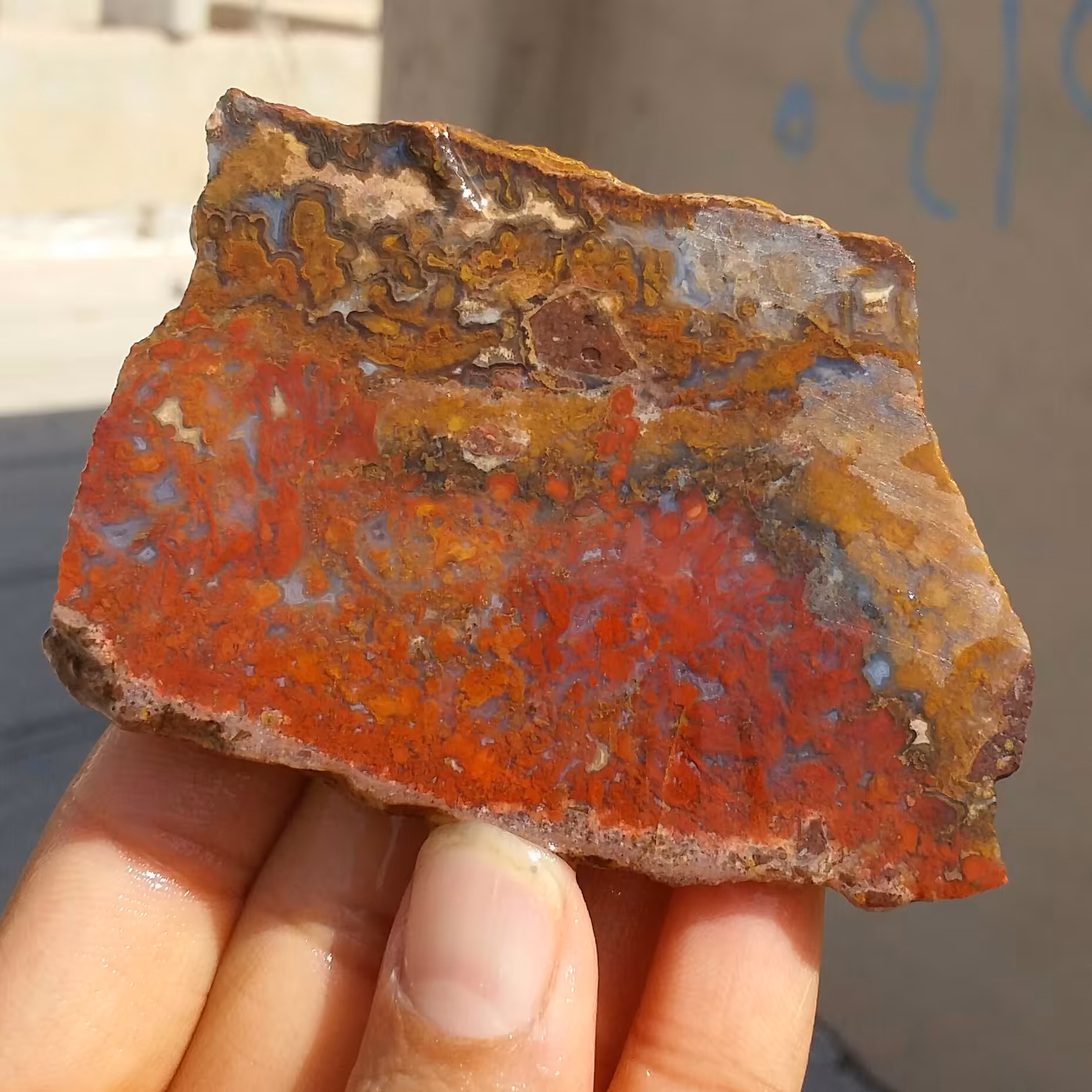 اسلایس سنگ راف عقیق شجر منظره گل اناری 
 100 در 100 طبیعی
تابلو نقاشی
با قابلیت ساخت چند نگین قیمتی
کد 11545