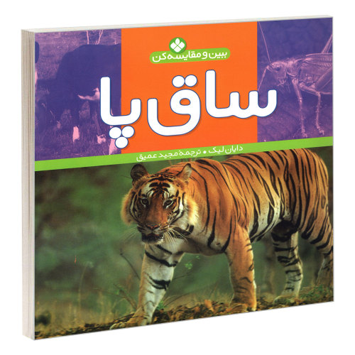 ببین و مقایسه کن؛ ساق پا نشر پنجره (22757)