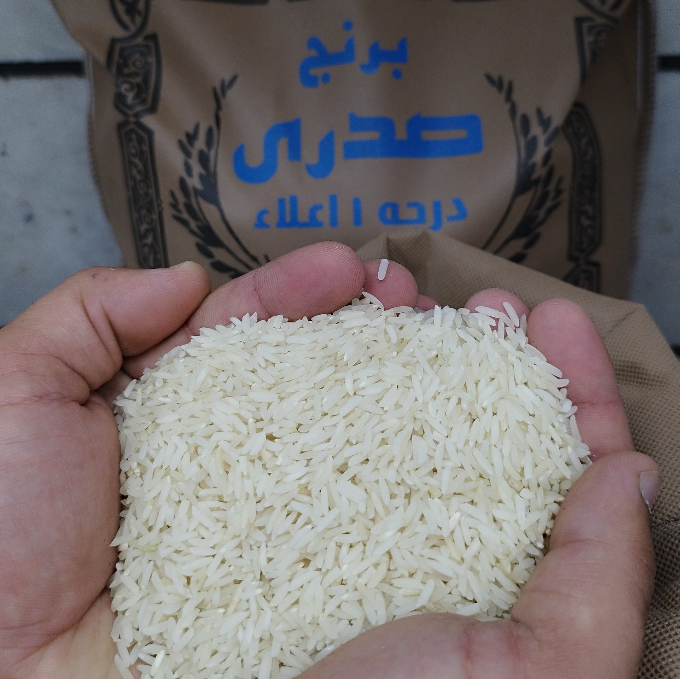 برنج صدری هاشمی الموت