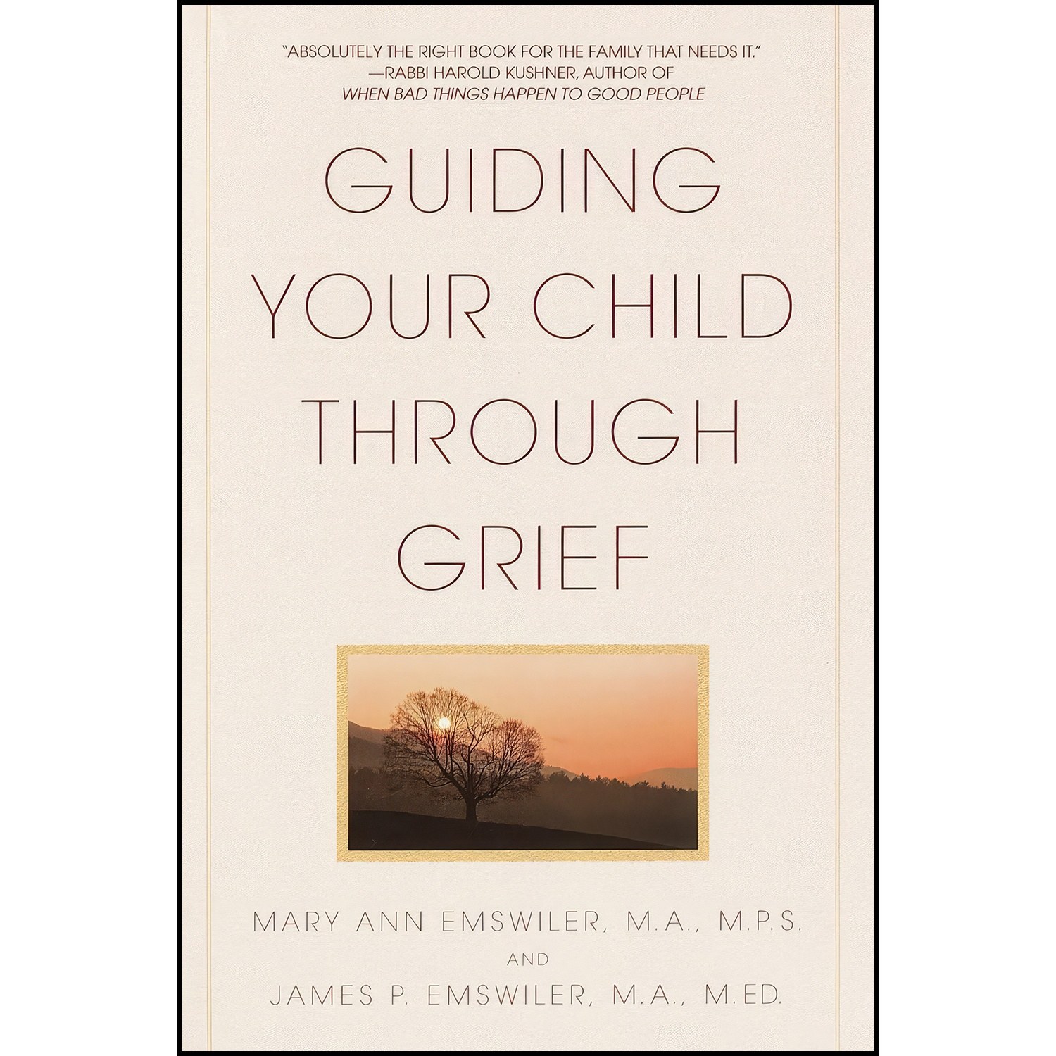 کتاب زبان اصلی Guiding Your Child Through Grief