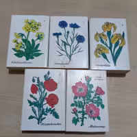 سری 5 عددی کبریت پلاستیکی آلمانی با تصویر گلها 