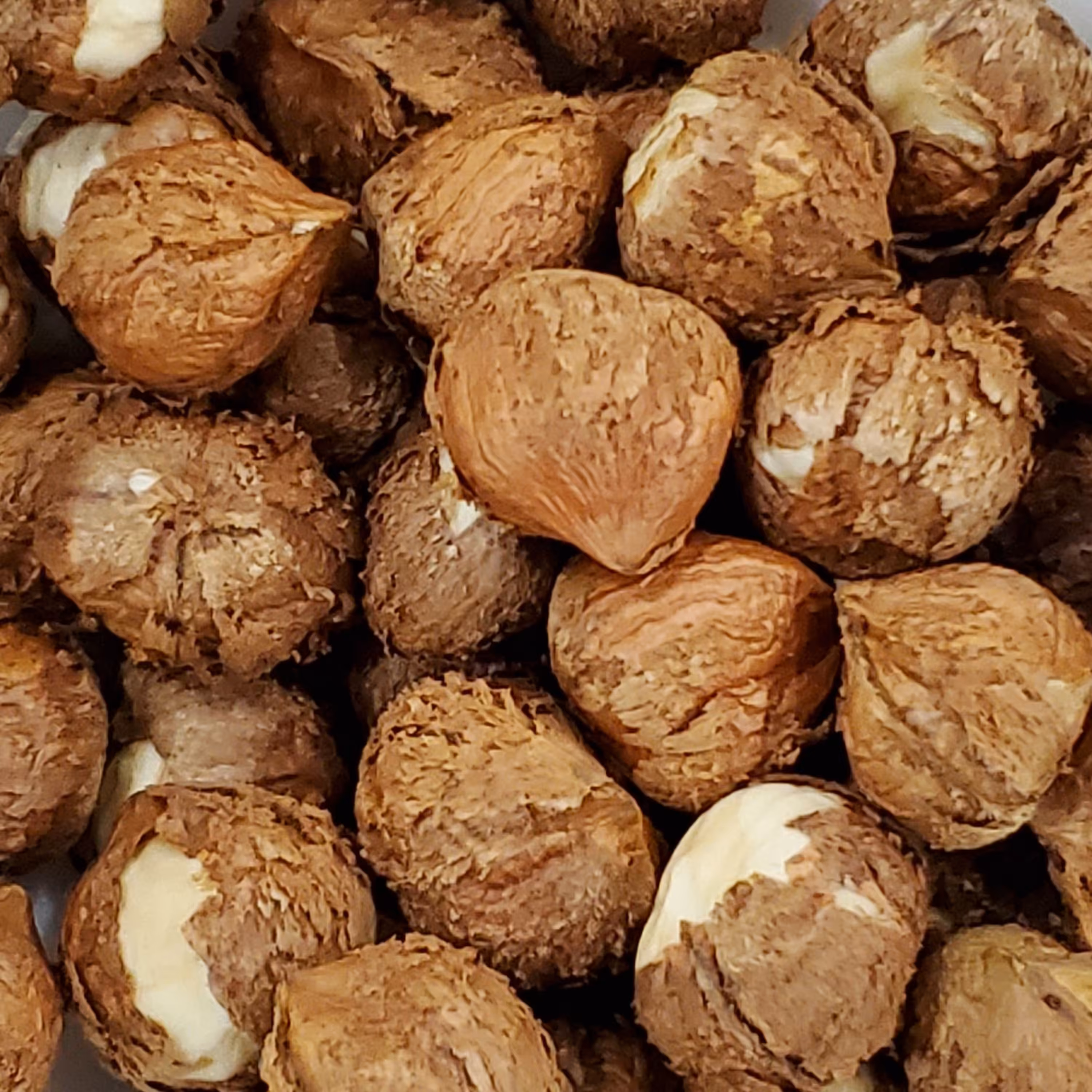 مغز فندق ارگانیک ممتاز 250گرمی تازه بهترین فندق ایران