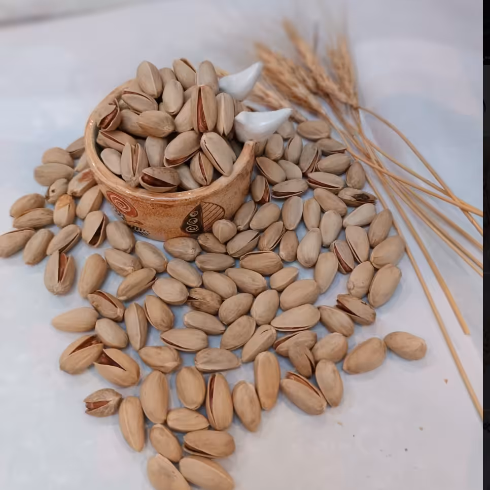 پسته خام اکبری تازه شهر بادرود کاملا ارگانیک (به صورت جزئی و عمده)یک کیلویی