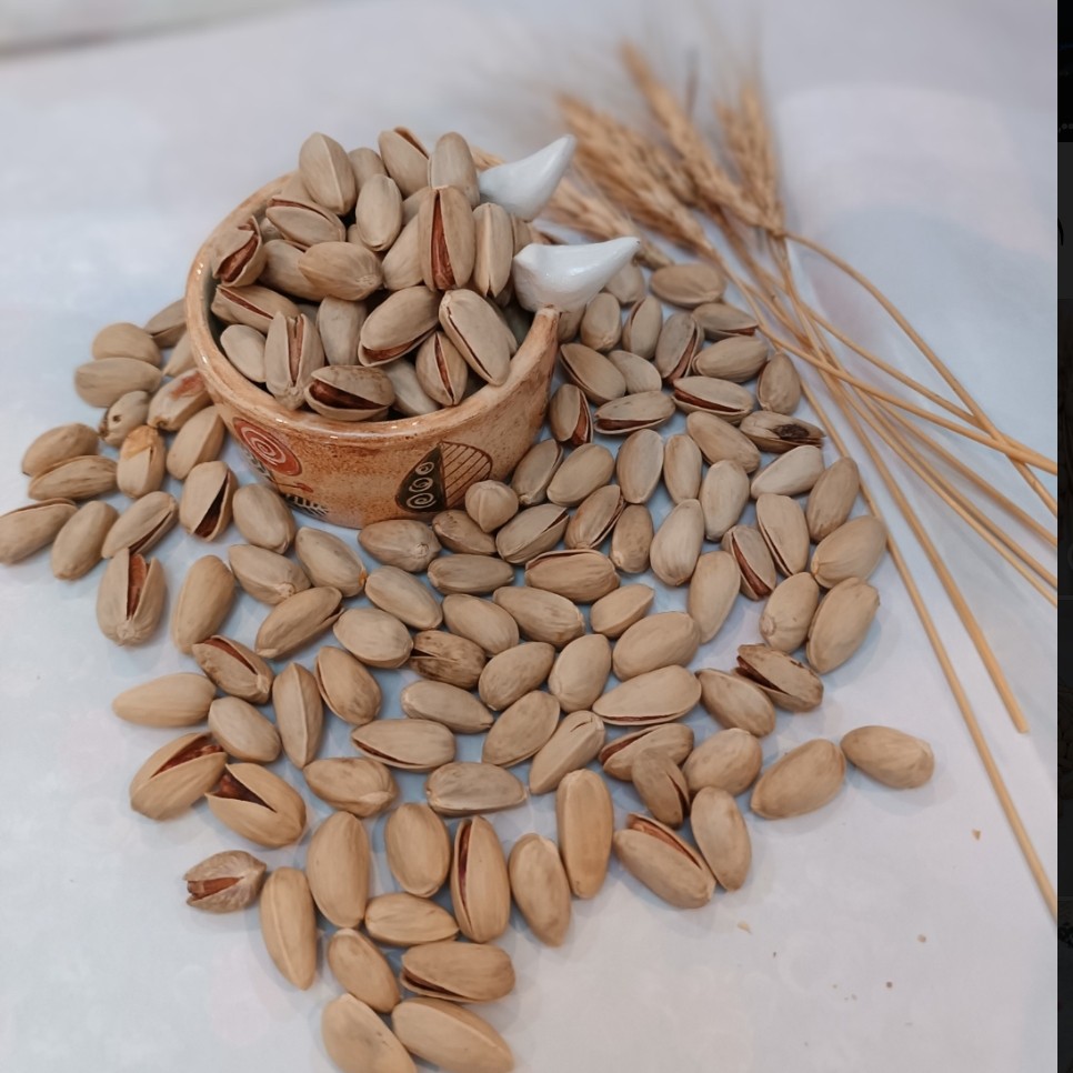 پسته خام اکبری تازه شهر بادرود کاملا ارگانیک (به صورت جزئی و عمده)یک کیلویی
