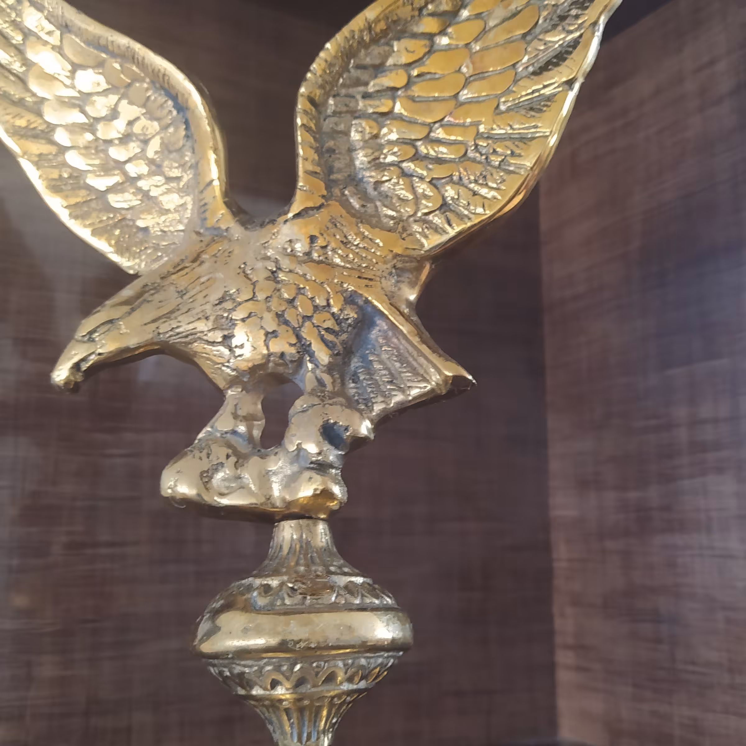 عقاب  برنزی اعلا 