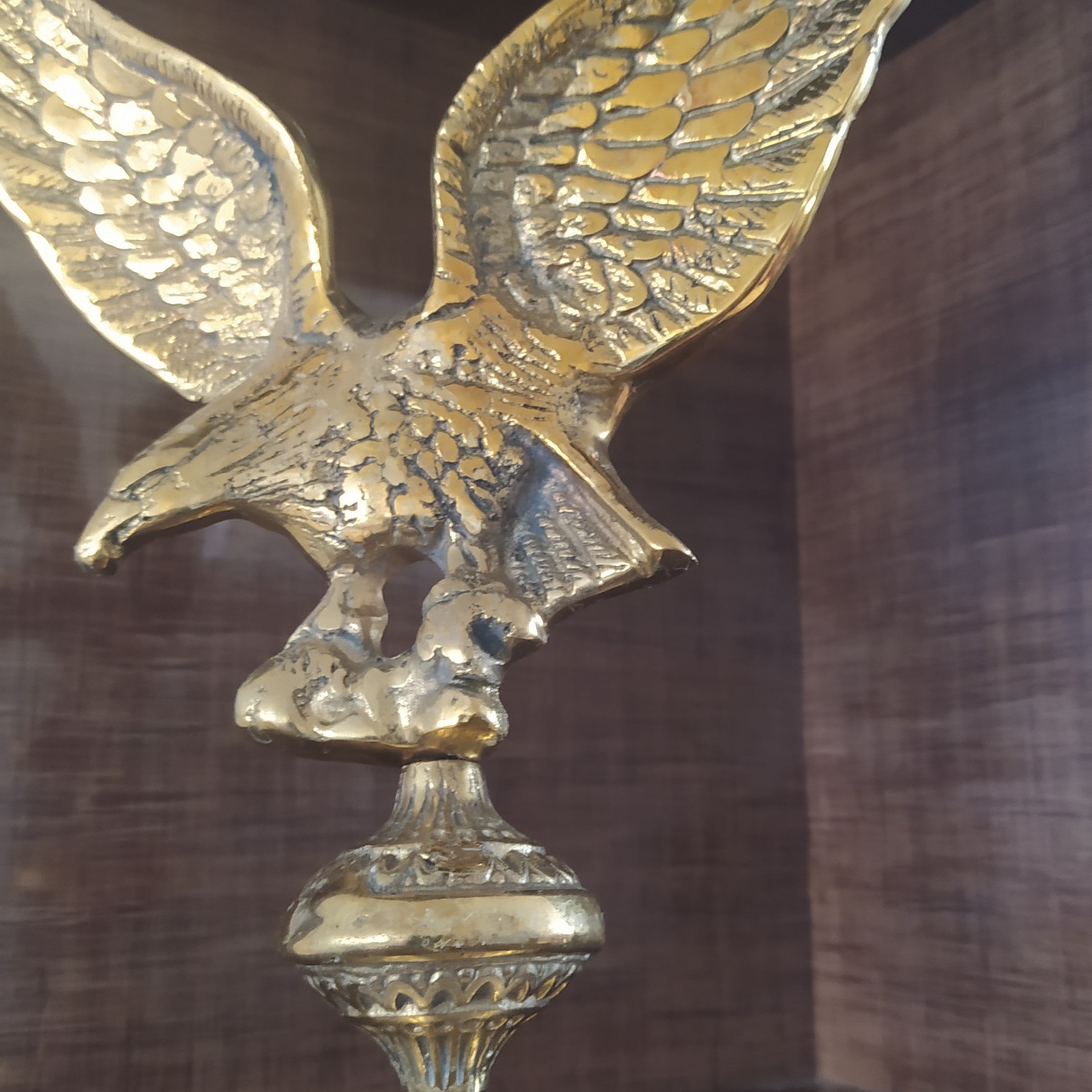 عقاب  برنزی اعلا 