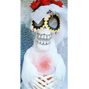 عروسک اسکلت عروس تقلید صدا