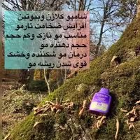 شامپو بیواکسین (بیوتین وکلاژن)