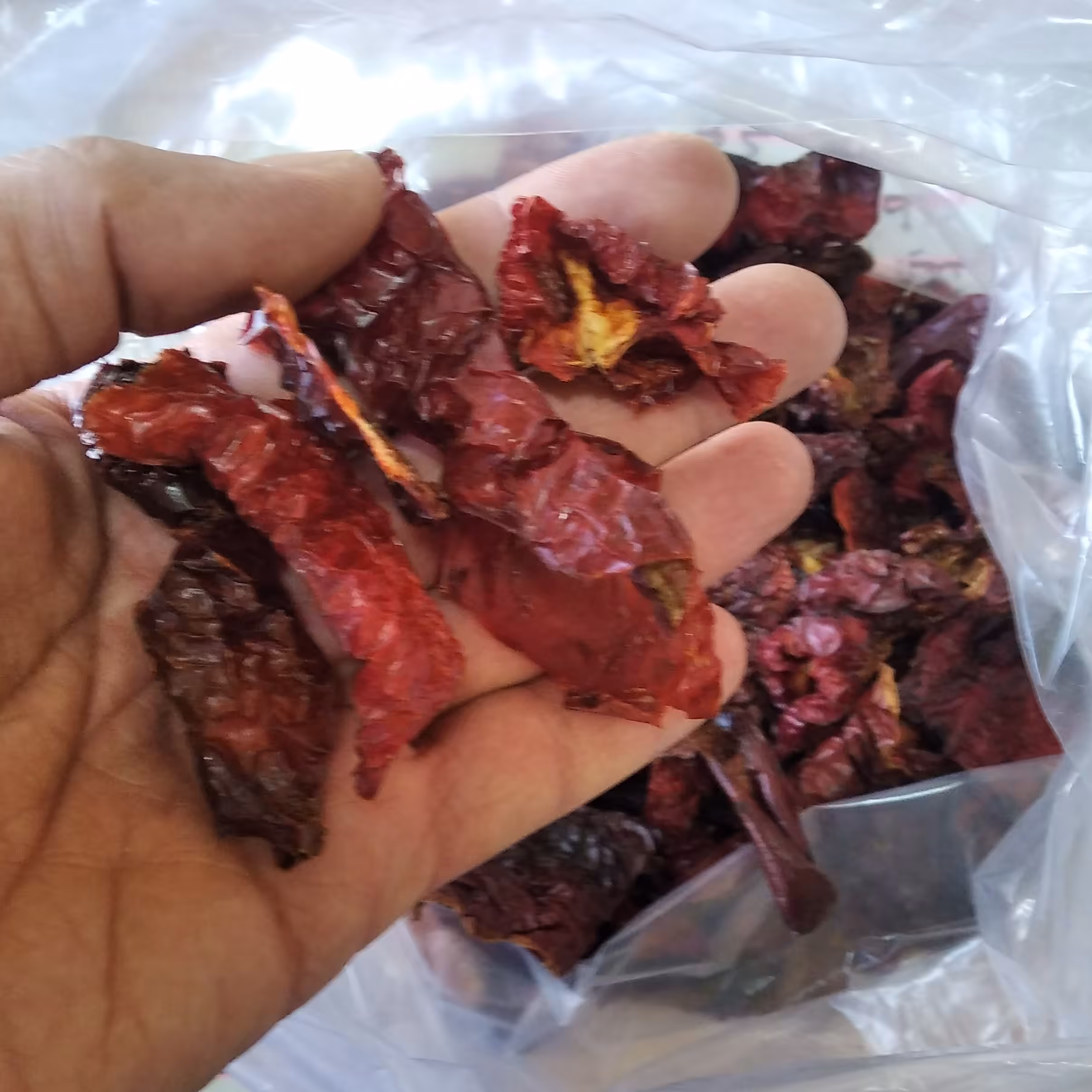 ادویه پاپریکا درجه یک ( 100 گرمی )