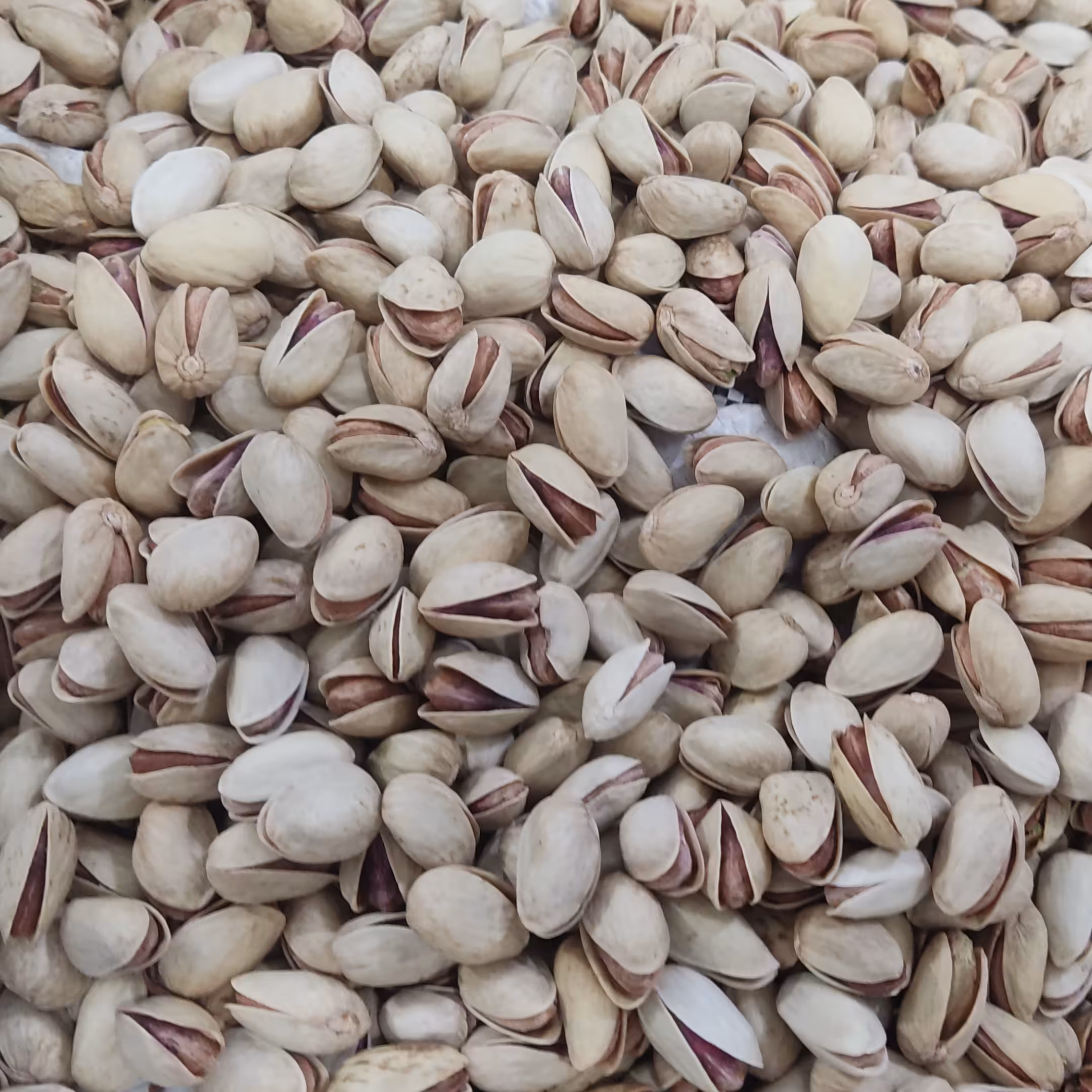 پسته عباسعلی دامغان (خام) امساله (یک کیلو گرم) (( پسته دامغان ))