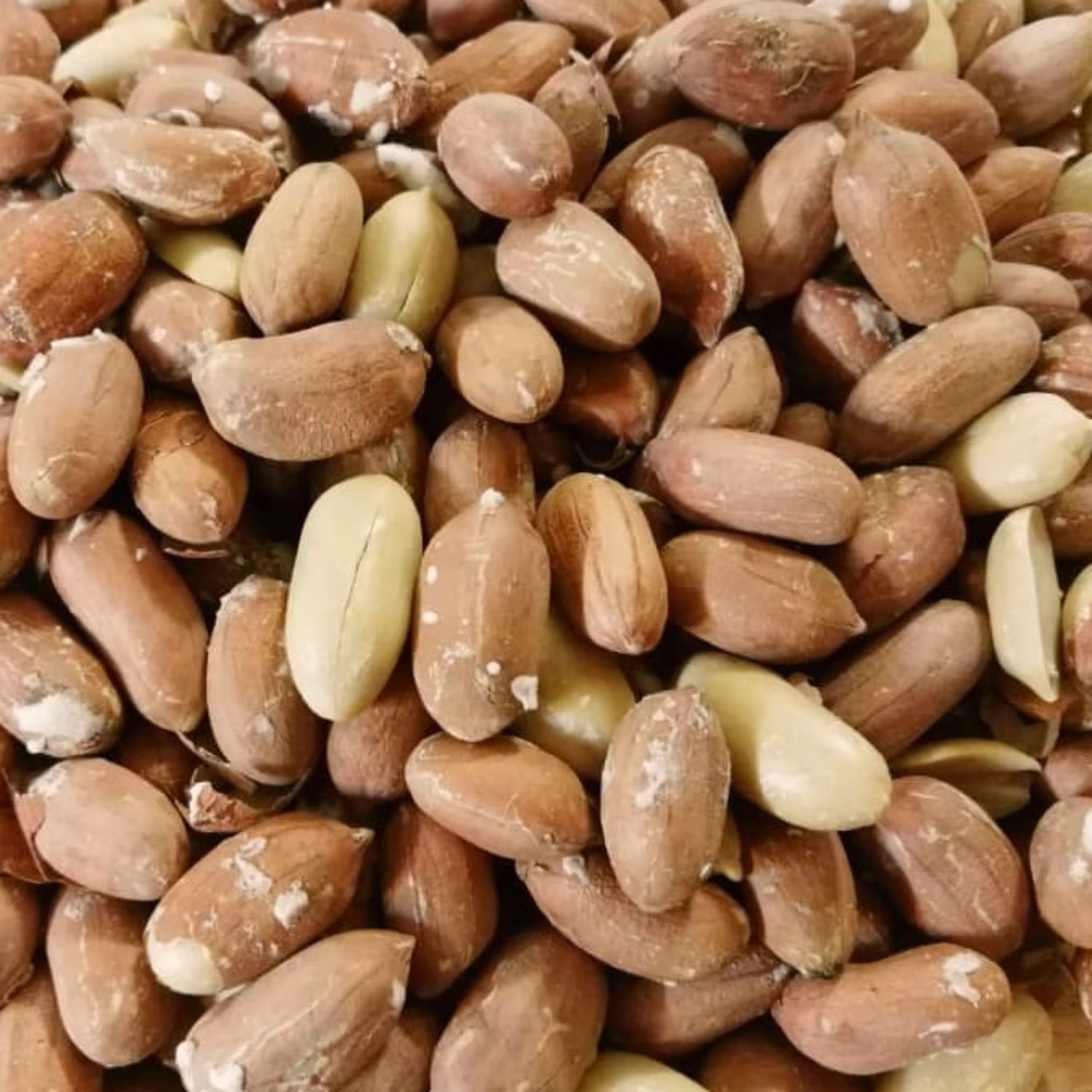 بادام زمینی درشت آستانه اشرفیه 1 کیلو تازه 1402