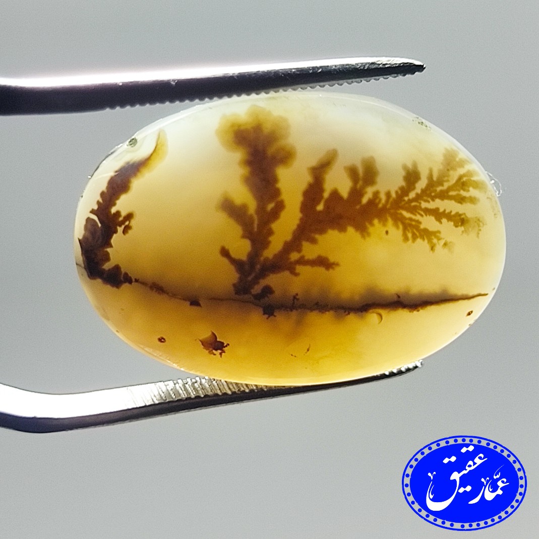 نگین عقیق شجر تک درخت قاینات