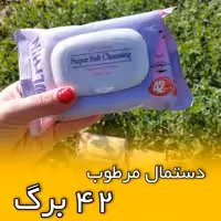 دستمال مرطوب آرایشی 42 برگ دلفین