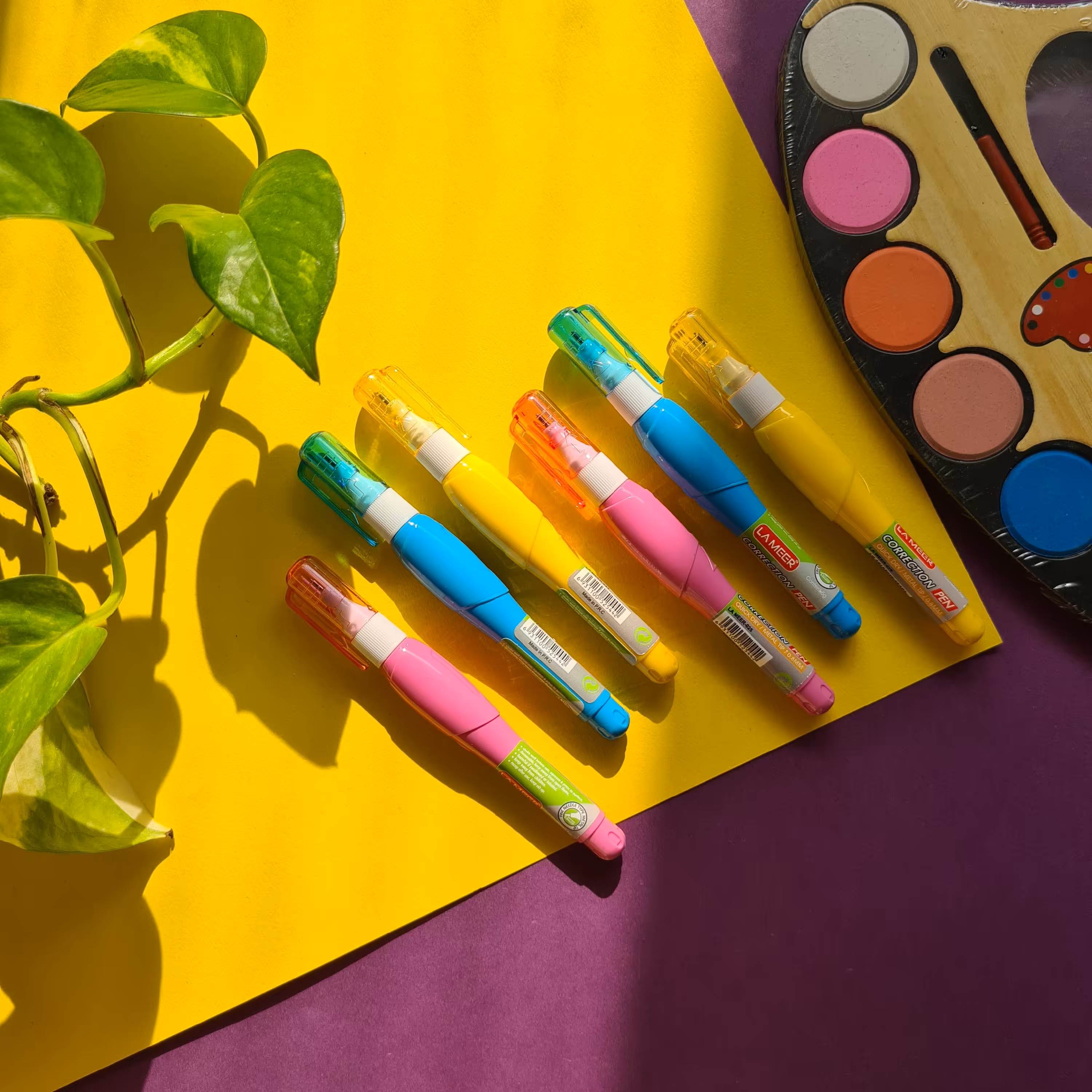 لاک غلط گیر