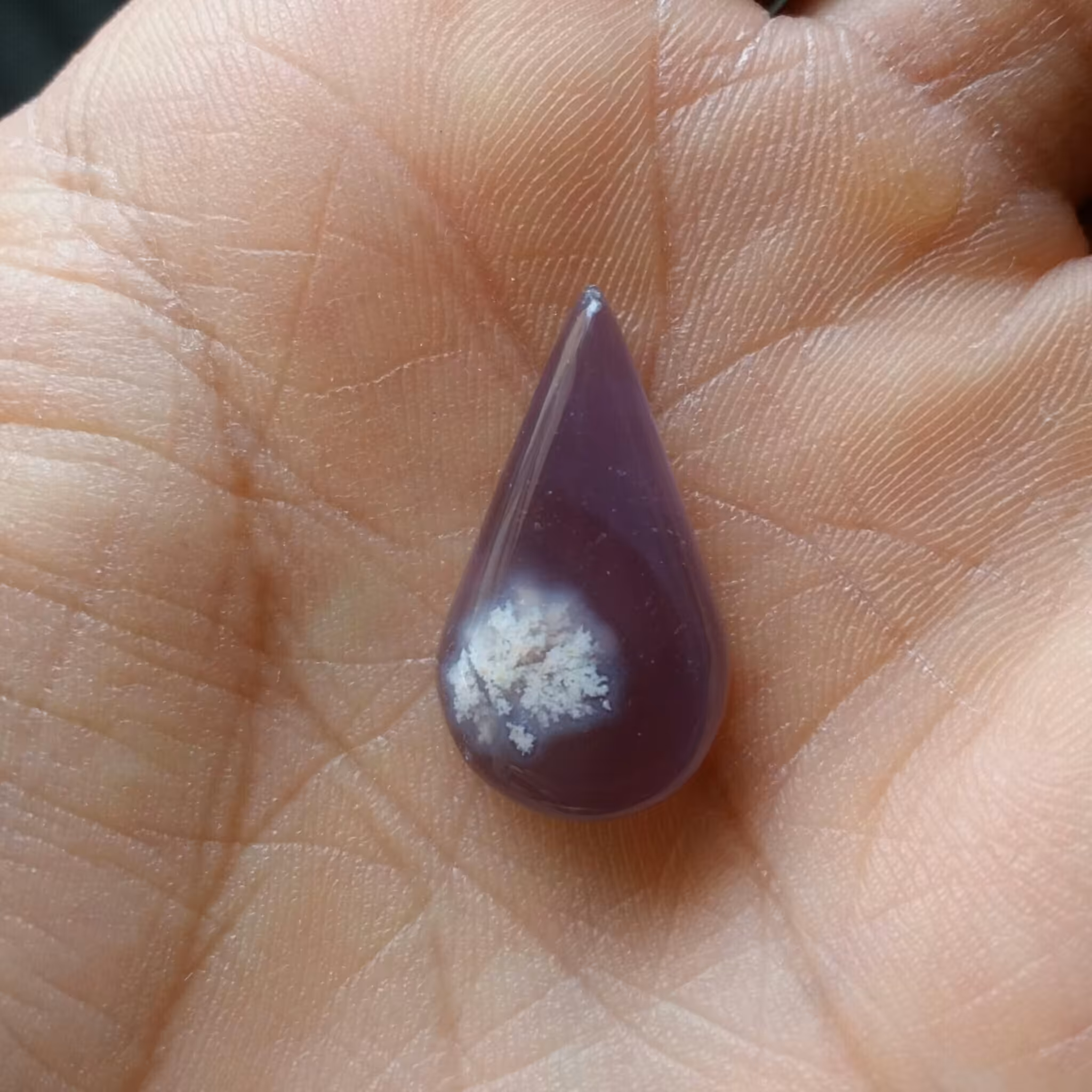 نگین شکوفه زمینه سوسنی بسیار زیبا شاهکار خلقت 100 در 100 طبیعی