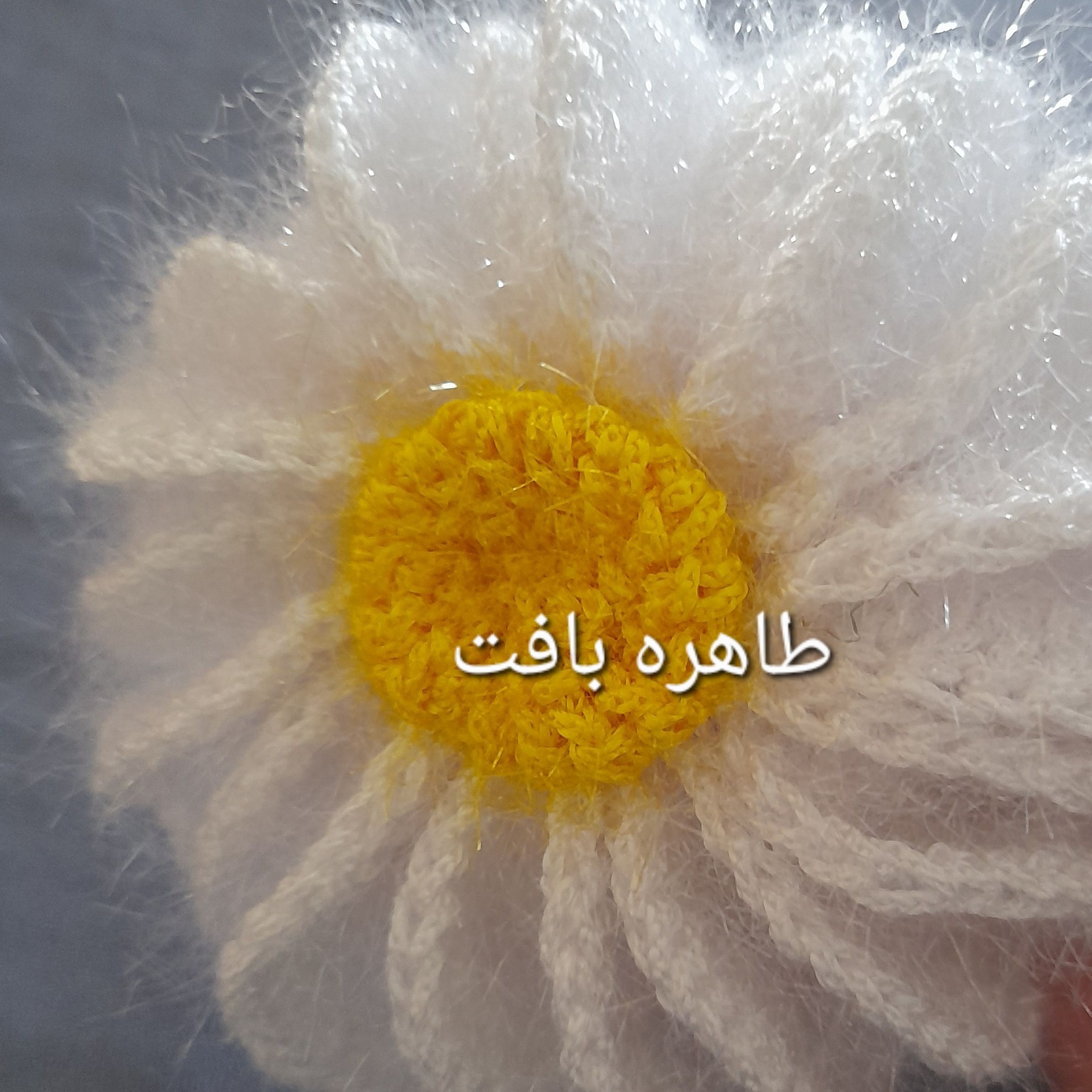 اسکاج مدل گل بابونه برا عروس خانم ها