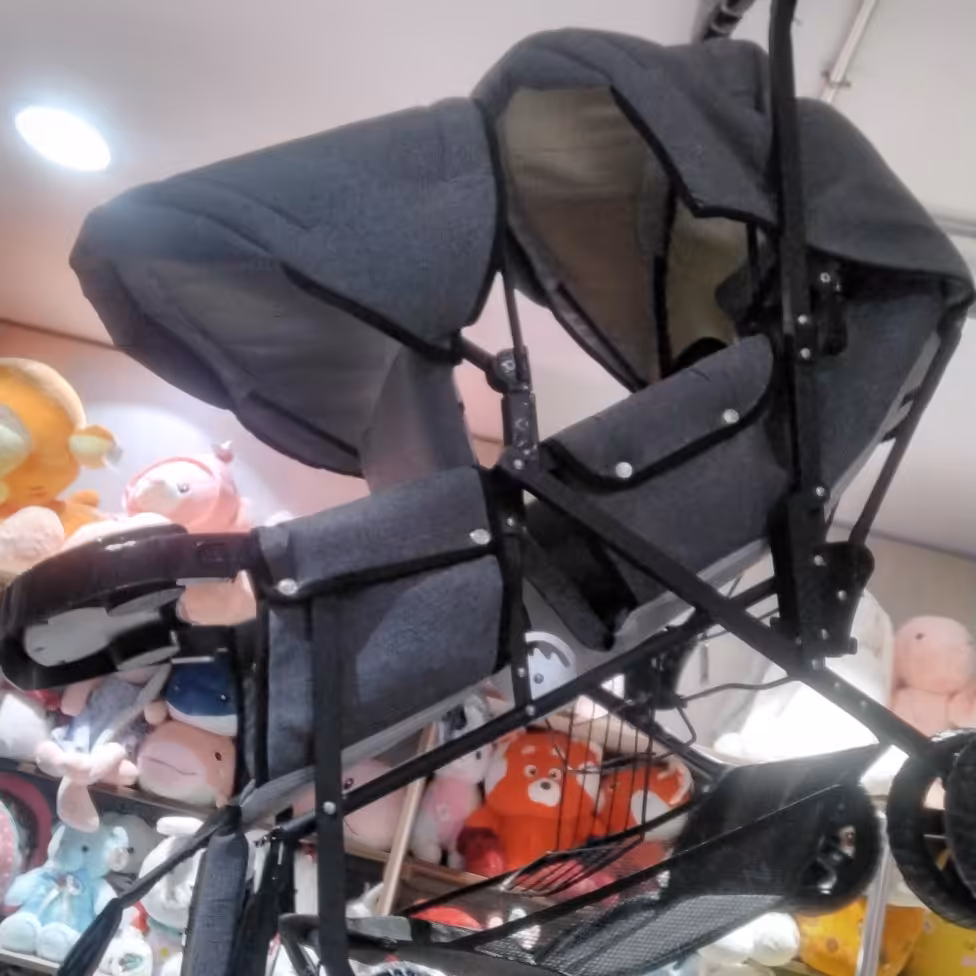 کالسکه دوقلو دلیجان 