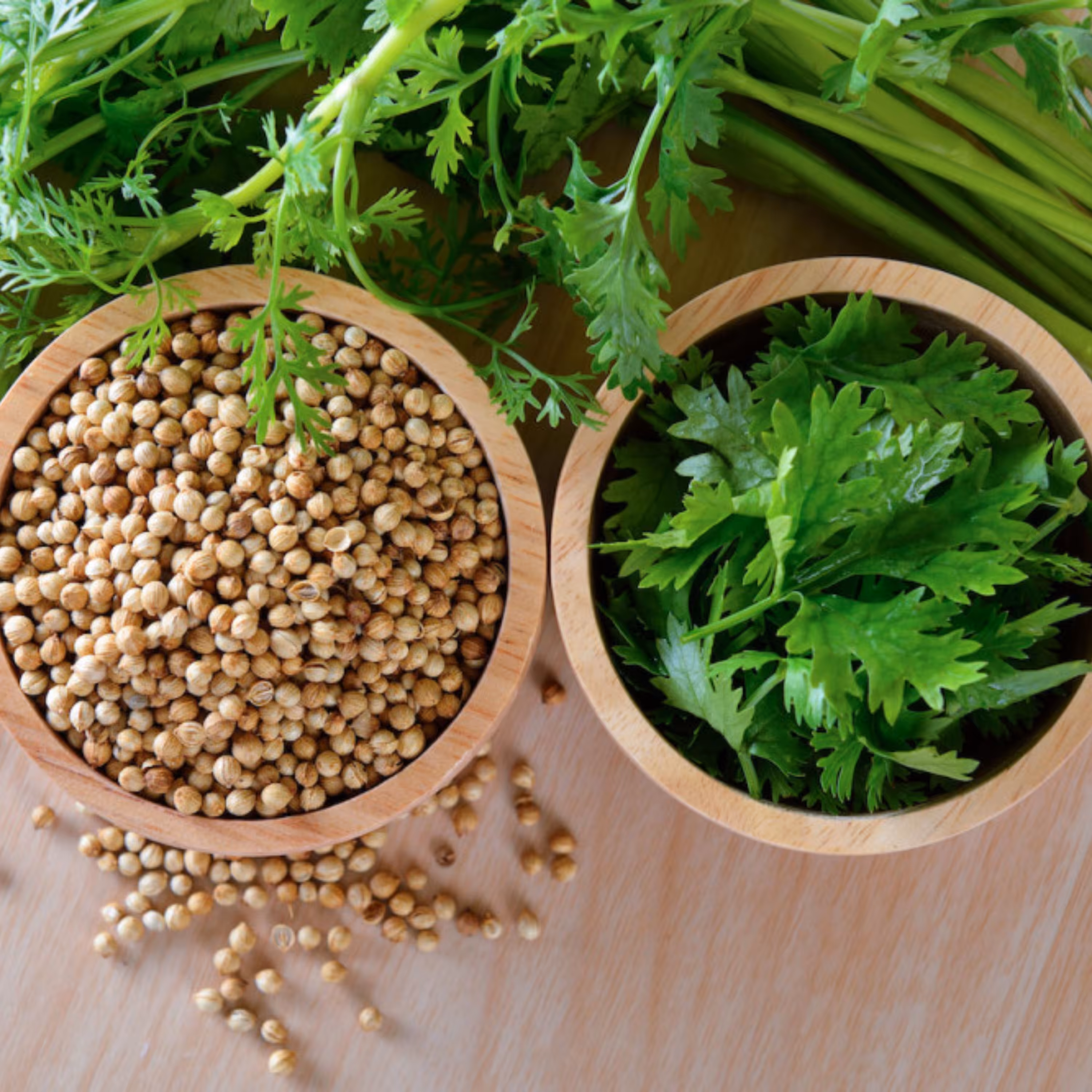 سبزی گشنیز خشک یک کیلویی