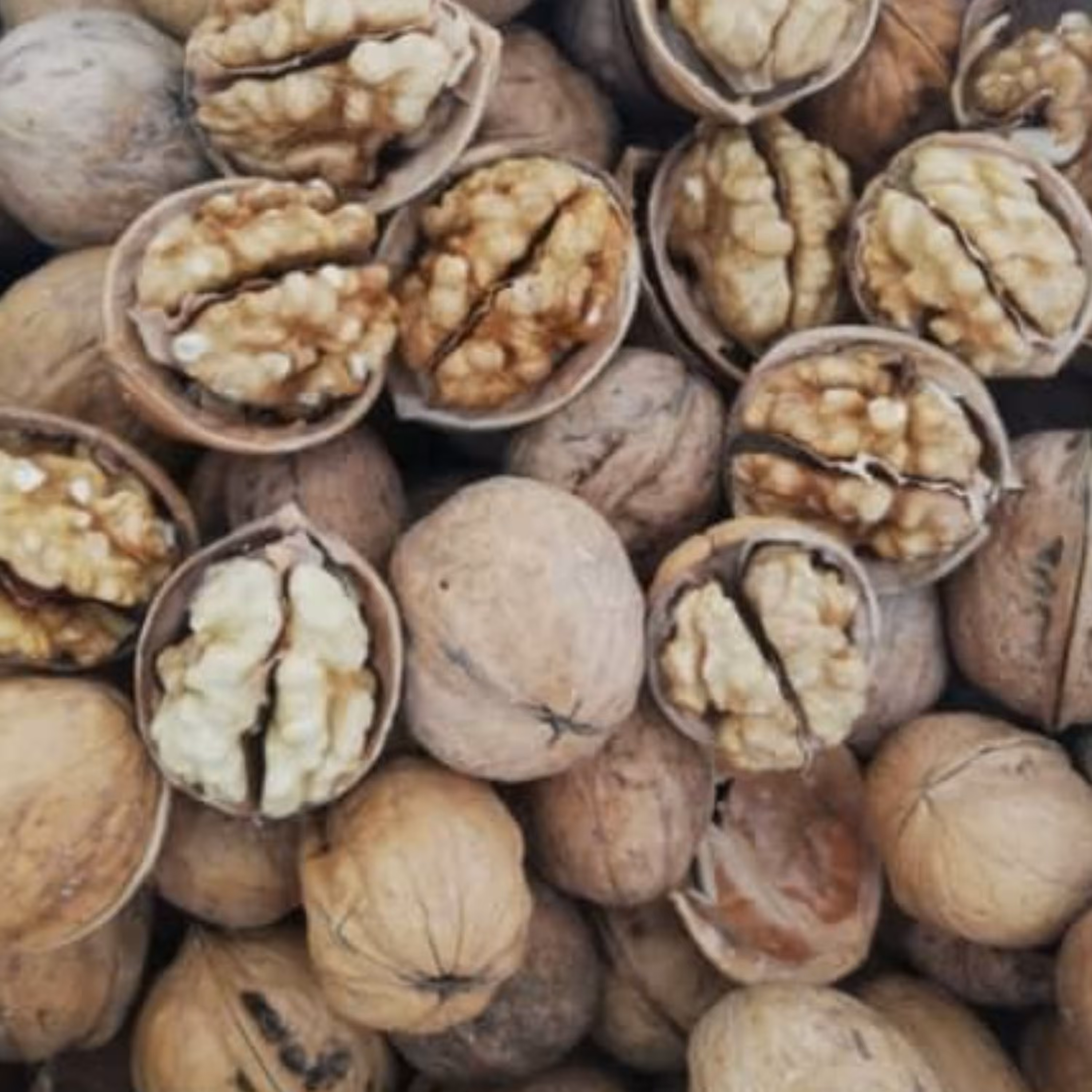 گردو درجه یک در بسته بندی یک کیلویی