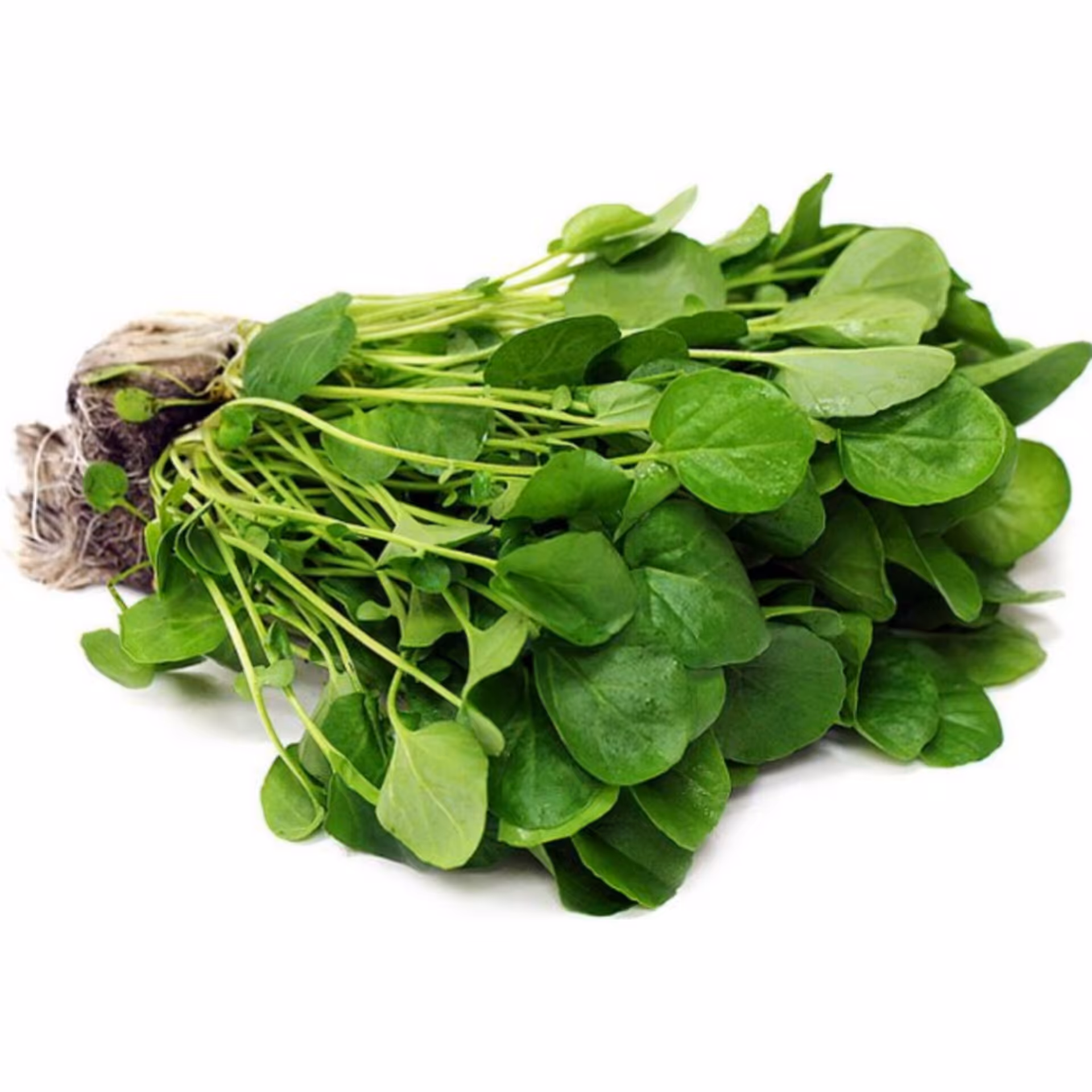 بذر شاهی(بسته بندی 500 گرمی)