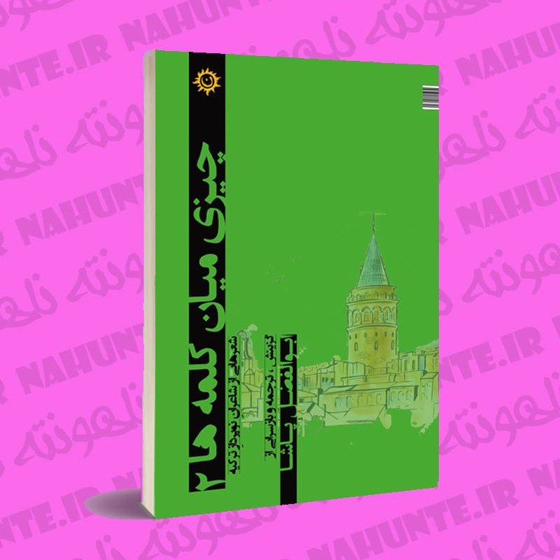 کتاب چیزی میان کلمه ها 2 . ابوالفضل پاشا
