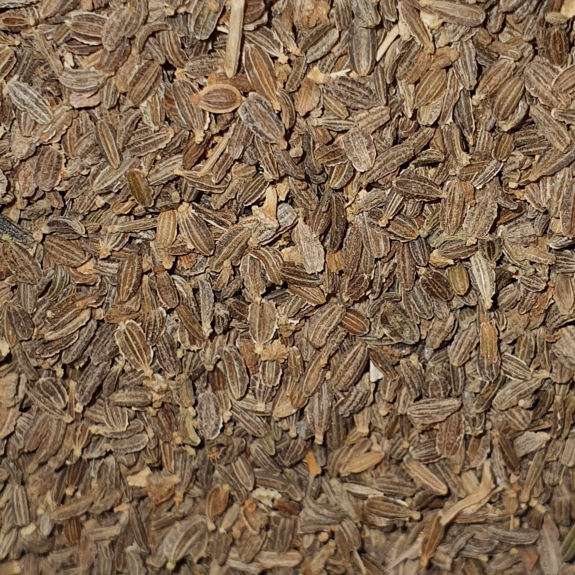 تخم هویج بسته 300 گرمی 